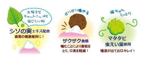 歯みがきまたたびボール 株式会社ペッツルート 歯みがきまたたびボール 株式会社ペッツルート