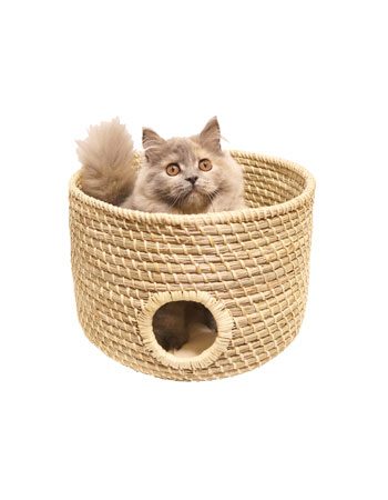 Amazon | ペッツルート ニャンともちぐら にゃんション | ペッツ